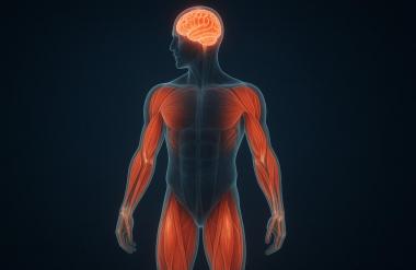 Позитронно-эмиссионная компьютерная томография (ПЭТ-КТ) всего тела