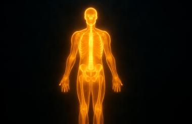 МРТ (магнитно-резонансная томография) всего тела