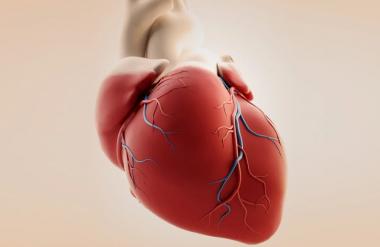 КТ (компьютерная томография) сердца