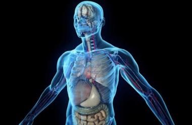 КТ (компьютерная томография) всего тела