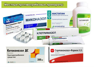 противогрибковые антибиотики