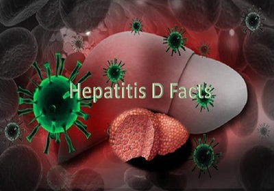 Гепатит Д