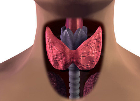 МРТ щитовидной железы - показания