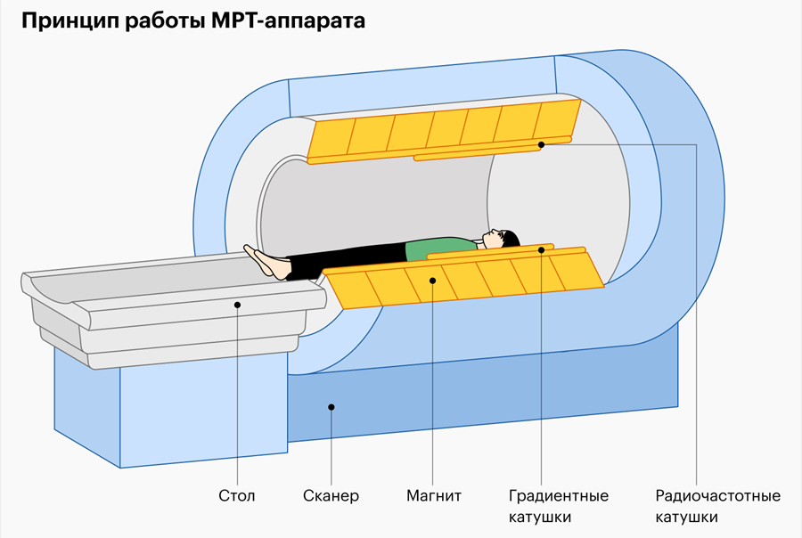 Принцип работы МРТ